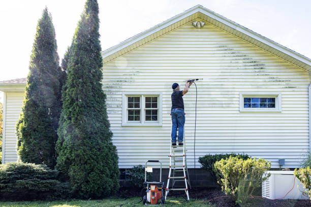 Professional Pressure Washing Services in Ragland, AL